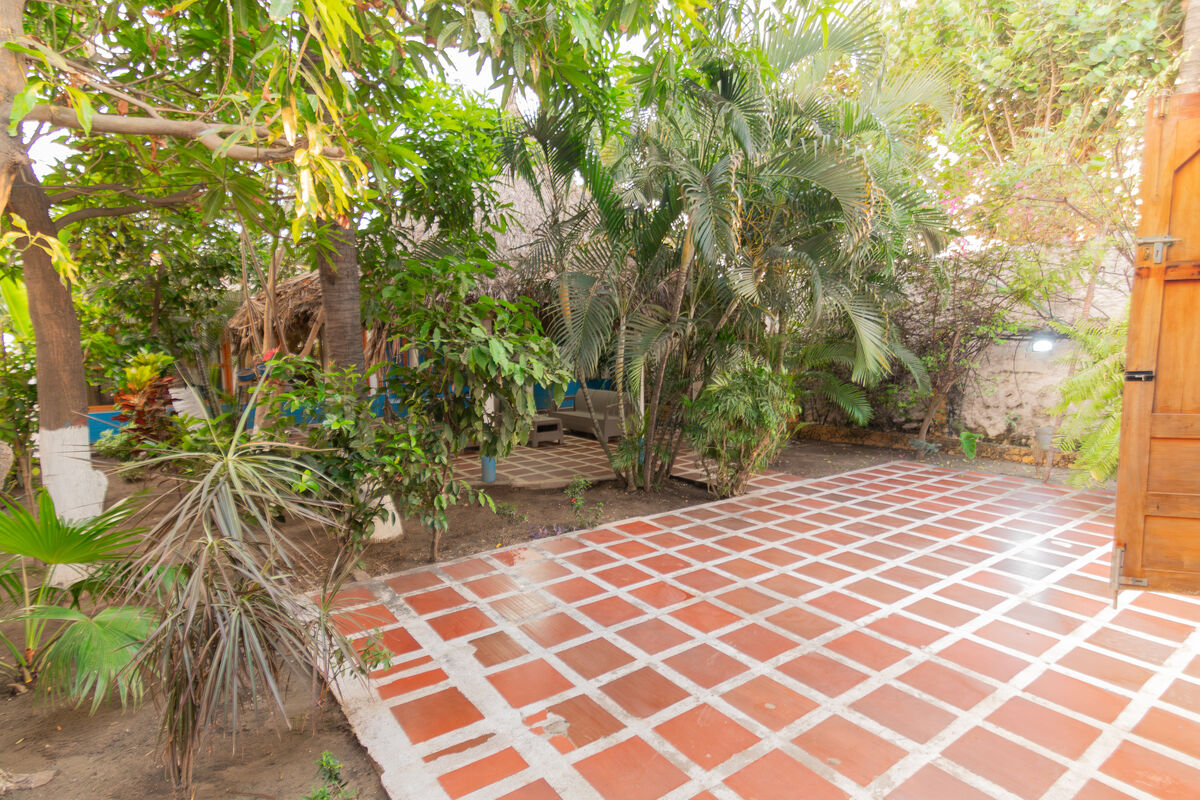 Casa Gabito lush tropical garden