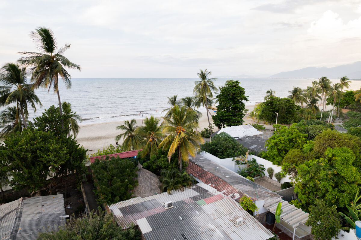 Ocean and palm tree panorama